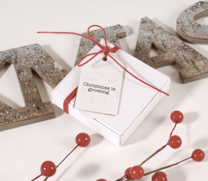 Boîte économique avec décoration de Noël