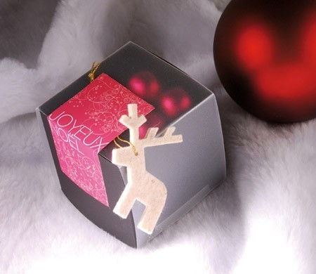 Petite boîte cadeau pour Noël