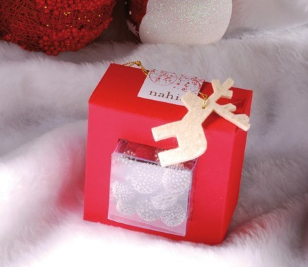Petite boîte transparente pour Noël