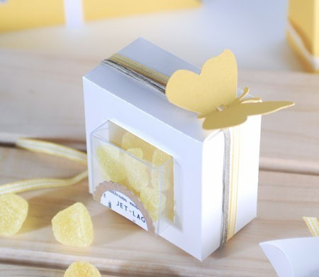 Boîte en PVC Transparent. Pas de minimum de commande !