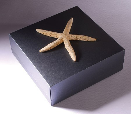 Boîte Cadeau Carrée en Carton