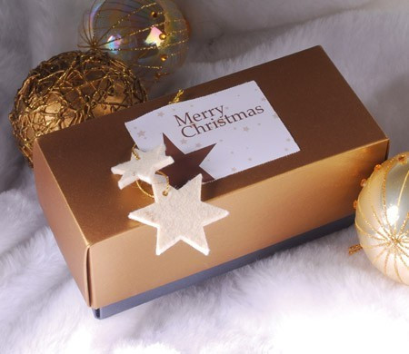 Petite boîte rectangulaire pour Noël
