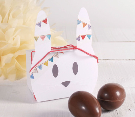 Jolie boîte lapin de Pâques