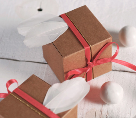 Petite Boîte Cadeau Carrée avec Plumes