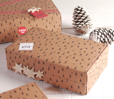 Boîte de Noël à Assembler Soi-Même Boîte de Noël à Assembler Soi-Même
