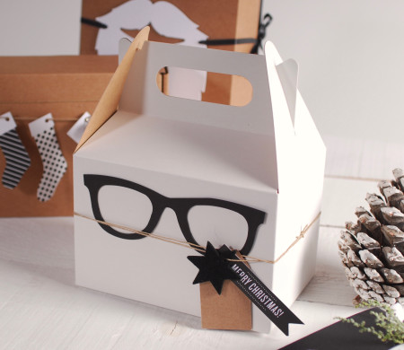 Boîte de Pique-nique avec des lunettes