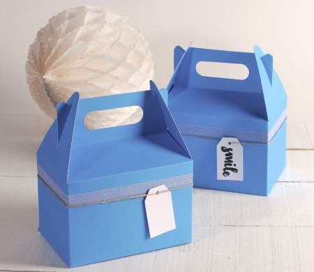 Boîte Pique-nique Bleue à Carreaux Boîte Pique-nique Bleue à Carreaux