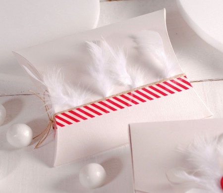 Étui décoré avec des Plumes