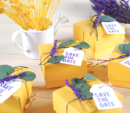 Petite boîte Save The Date. Surprenez vous invités !