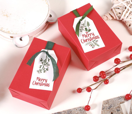 Boîte cadeau de Noël avec ruban