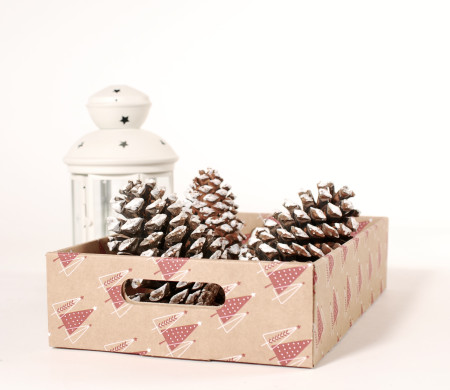 Plateau en carton pour cadeaux de Noël Plateau en carton pour cadeaux de Noël