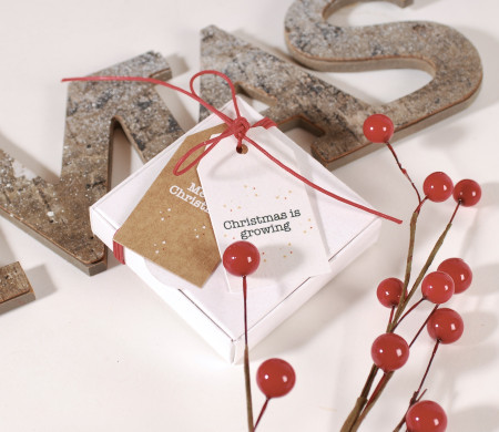 Boîte de Noël blanche économique Boîte de Noël blanche économique