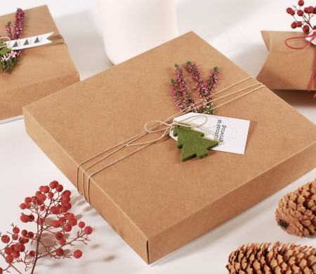 Boîte en carton élégante pour les cadeaux de Noël