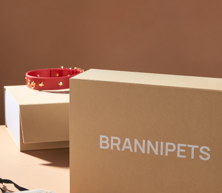 Brannipets boîte doublée imprimée à monter soi-même
