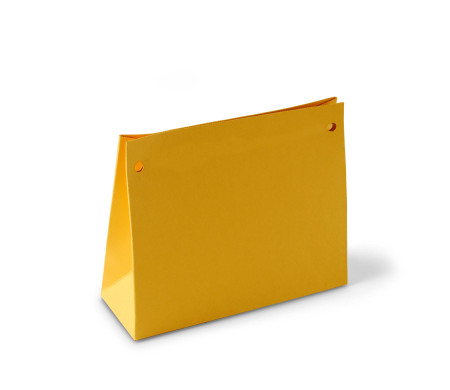 Pochette Cadeau en Carton avec Cordon