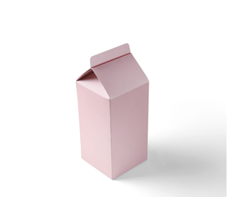 Boîte Cadeau en Forme de TetraBrik