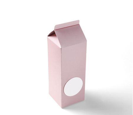 Boîte Cadeau en Forme de TetraBrik