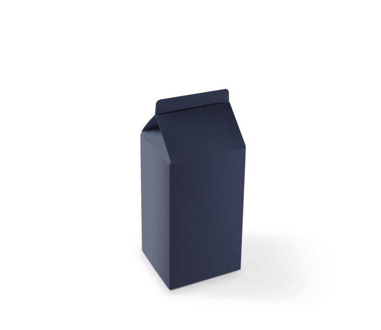 Boîte Cadeau en Forme de TetraBrik
