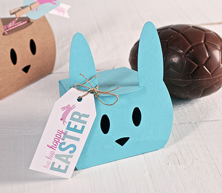Boîtes pour Fêtes d'Enfants