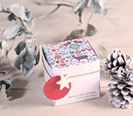 Boîte Carrées de Noël...