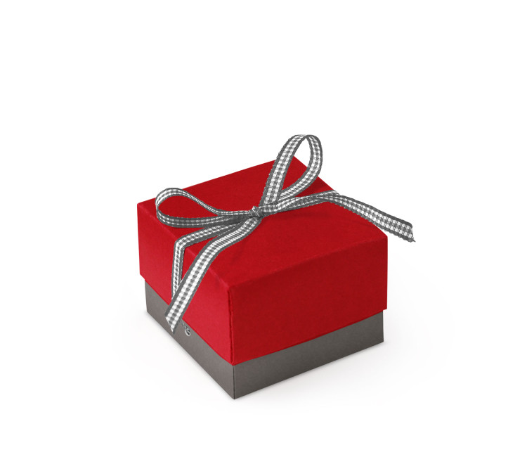 Jolie Boîte Cadeau avec Fermeture et Noeud Décoratif