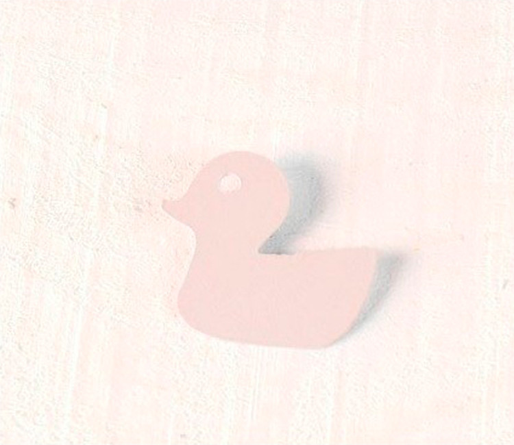 Canards en Carton 10 pcs. Canards en Carton 10 pcs.