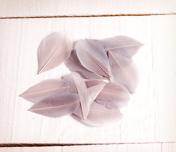 Plumes pour loisirs créatifs