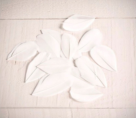Plumes pour loisirs créatifs