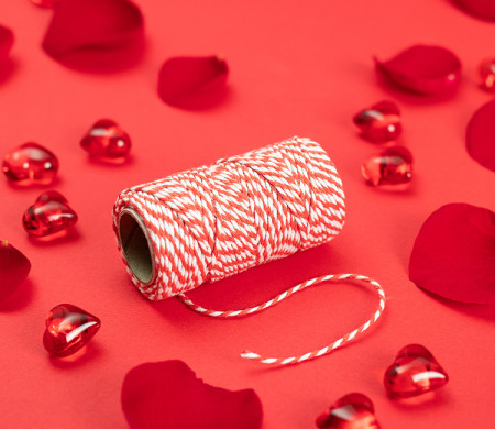 Baker’s Twine bicolore pour décorer vos cadeaux 