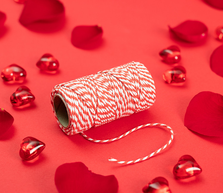 Baker’s Twine bicolore pour décorer vos cadeaux 