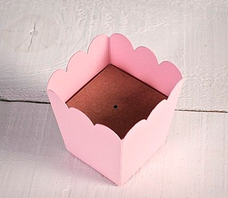Support 1 Cake Pop