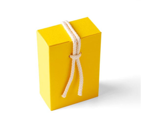 Boîte Cadeau en Carton avec Fermeture Originale