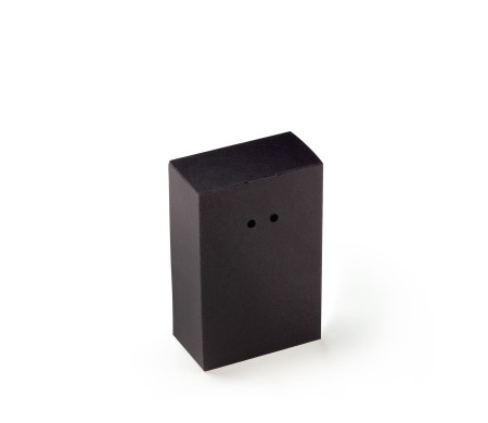 Boîte Cadeau en Carton avec Fermeture Originale
