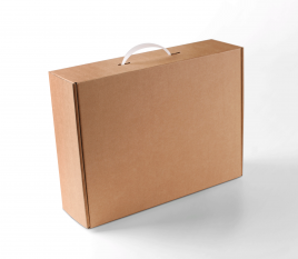 Boîte-mallette en carton avec poignée en plastique