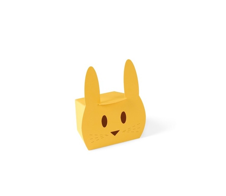 Boîte en carton en forme de lapin sympathique