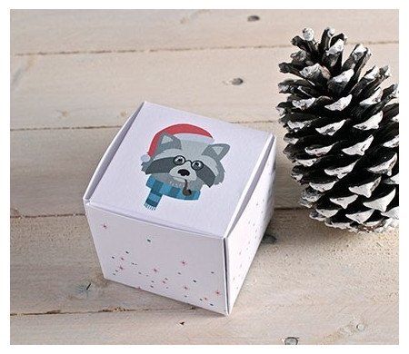 Boîtes carrées de Noël avec...