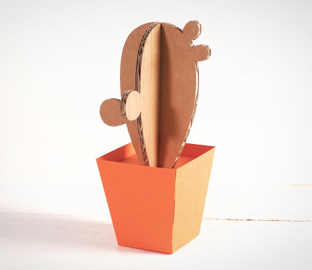 Cactus en Carton, avec des Pots en Couleur !