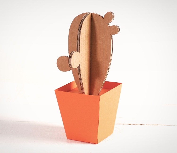 Cactus en Carton, avec des Pots en Couleur !