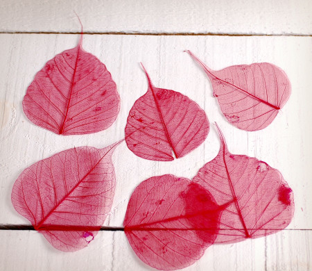 feuilles décoratives pour scrapbooking