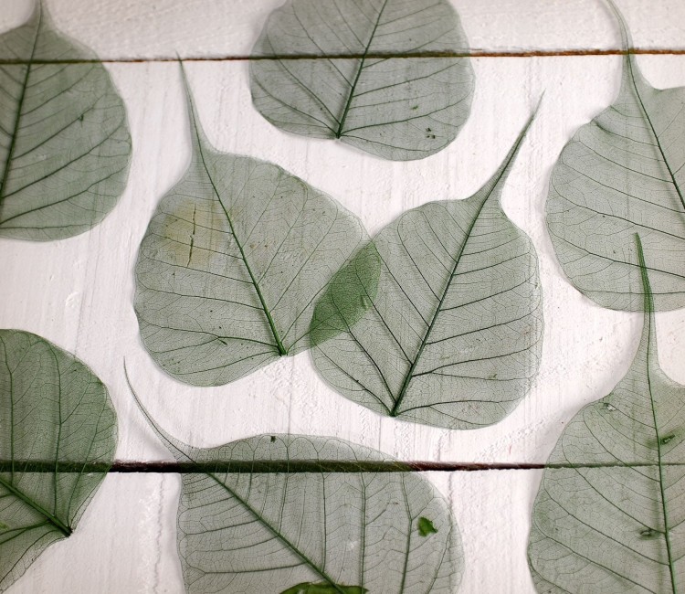 feuilles décoratives pour scrapbooking