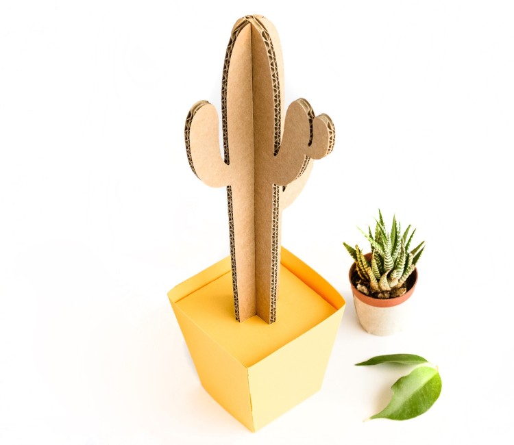 Cactus en Carton en Plusieurs Couleurs
