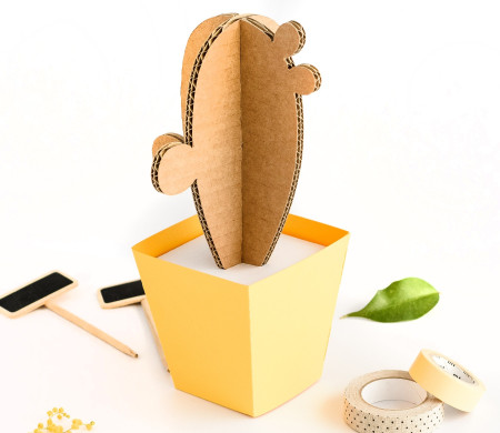 Cactus en Carton, avec des Pots en Couleur !
