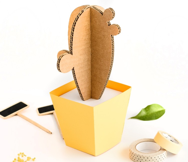 Cactus en Carton, avec des Pots en Couleur !