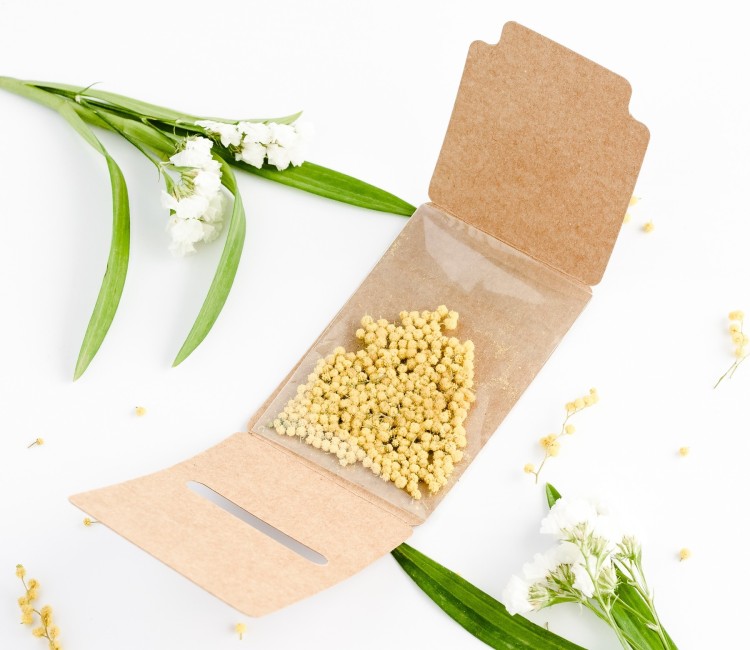 Petite Boîte Graines pour Offrir aux invités