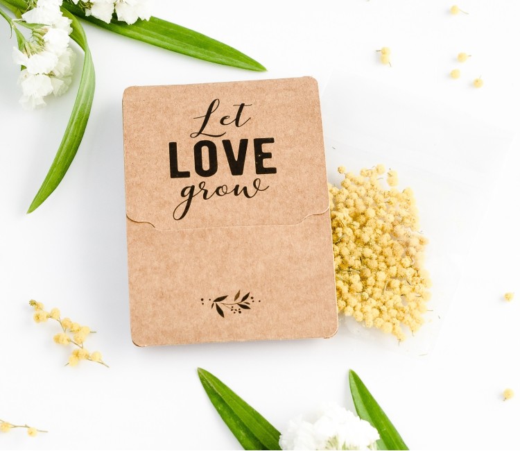 Petite Boîte Graines pour Offrir aux invités
