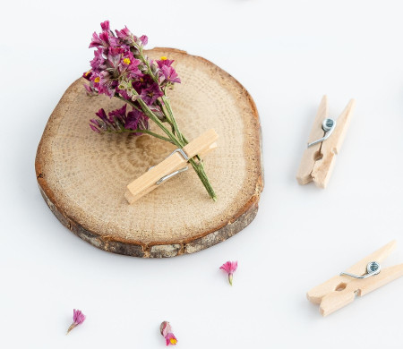 Pinces en bois mini