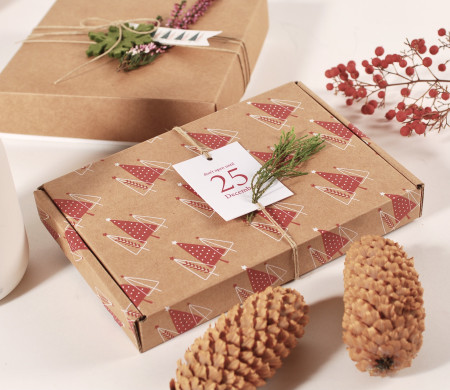 Boîtes d'expédition en carton imprimées de Noël