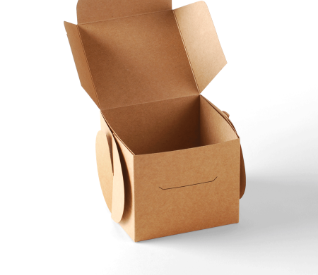 Boîte à Cupcakes Originale en Carton 