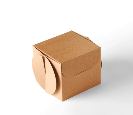 Boîte à Cupcakes Originale en Carton 