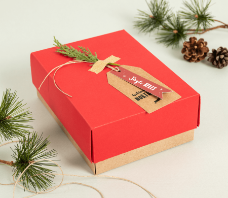 Boîte pour Chemises et Accessoires